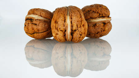 Arrangement of three walnuts on a white backgroundの写真素材