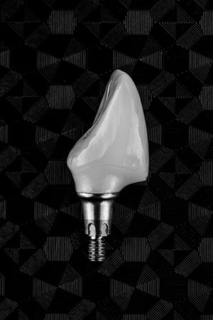 Macro photo of Dental Corrows Central tooth from ceramics on a textured background in black white...