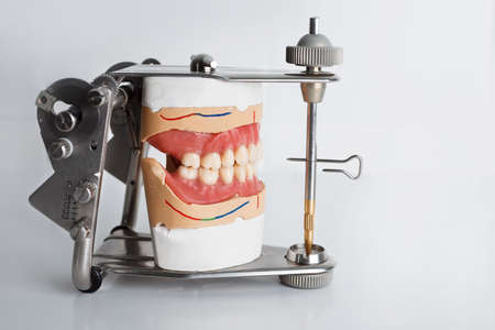 removable dentures in an articulator for measuring bite on a white background
