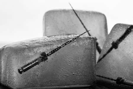 ice with dental instruments. macro photo in black and white styleの写真素材