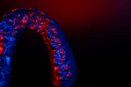 red-blue model of the upper jaw with a bright background. with space for textの写真素材
