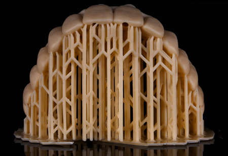 excellent composition on wax up on the upper jaw on a black background