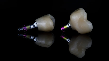 two dental crowns on black glass and reflectionの写真素材