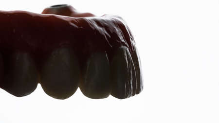 creative photo of upper jaw prosthesis with beautiful light on white backgroundの写真素材