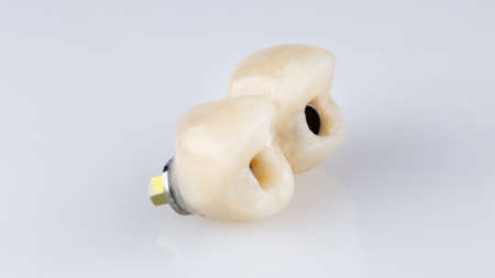 two dental crowns made of polymer on a white background