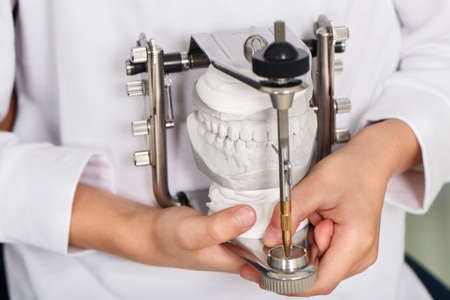 jaw model in the articulator in the hand of the young doctor