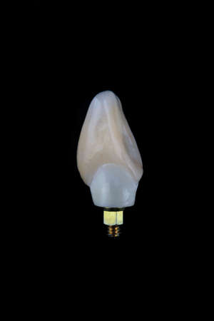 composition macro photos of dental crowns of front ceramic incisor