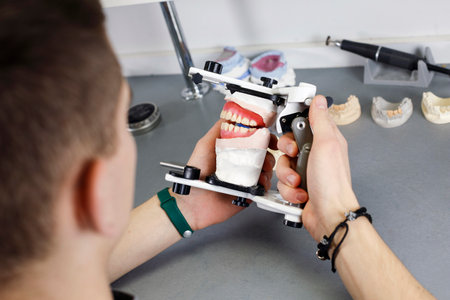 Dental technician works with prostheses of two jaws and compares the bite in the articulator