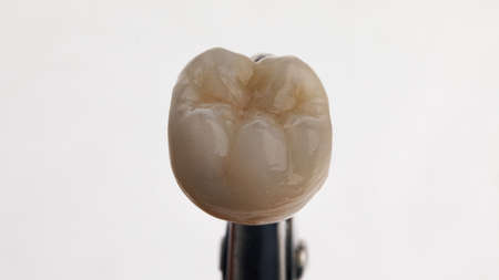 macro photo of a ceramic crown with chewing anatomy on a white background