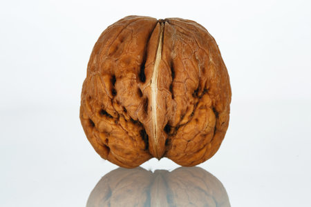 Close-up photo of walnut with texture and streaks on a white backgroundの写真素材