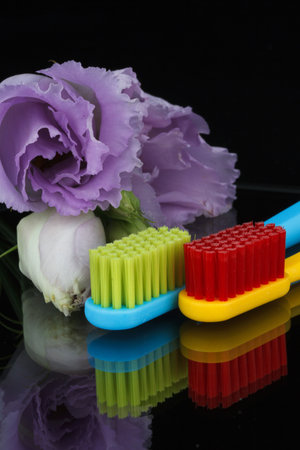composition of two flowers and multi-colored toothbrushes on a black background