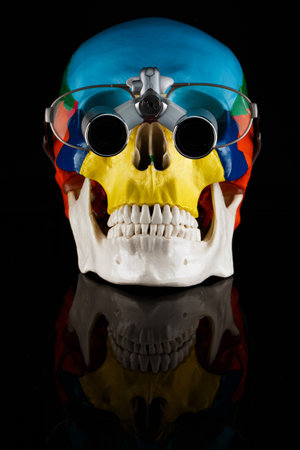 composition of a bright dental skull with binoculars for a dentist on black glass with reflectionの写真素材