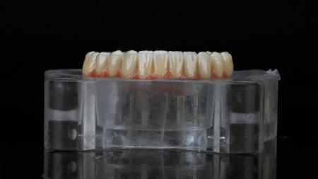 cuvette with silicone to create a dental prosthesis of the lower jaw from ceramic and titanium on a...