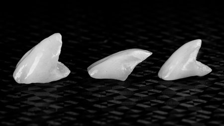 Three ceramic veneers of central cutters on a textured black background, photo in black and white styleの写真素材