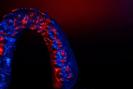 red-blue model of the upper jaw with a bright background. with space for textの写真素材