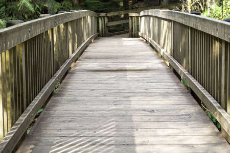 Wooden bridge on a hiking trailの写真素材