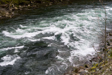Skagit River showing  bright green tones in the spring meltの写真素材