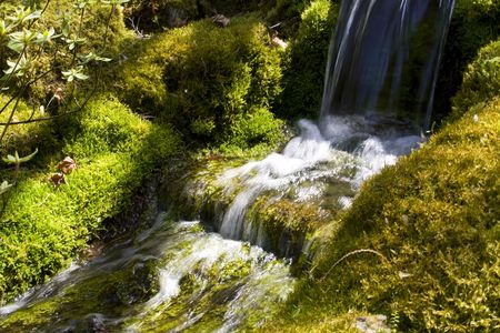 A small garden waterfall with moss in springの写真素材