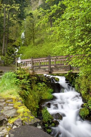 A beautiful waterfall in the Pacific Northwestの写真素材