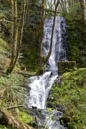 A beautiful waterfall in Oregon in the Pacific Northwest