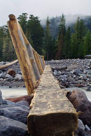 A log bridge in Mt. Rainier National Parkの写真素材