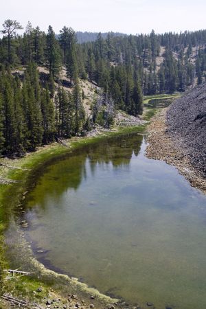 The edge of a volcanic obsidian flow meets undisturbed forestの写真素材