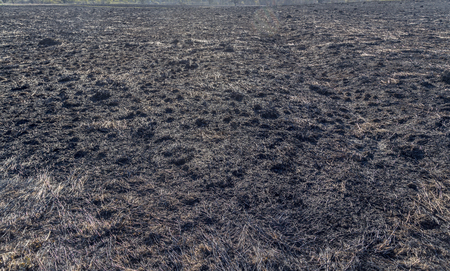 The charred remains following a prairie fire in Wisconsinの写真素材