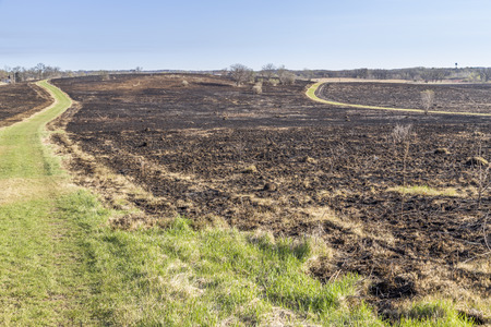A prairie fire burned away most of the plant life leaving only a little grassの写真素材