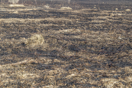 The charred remains following a prairie fire in Wisconsinの写真素材