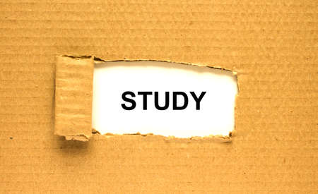 The word Study appearing behind torn brown paper. Can be use as a concept photoの写真素材