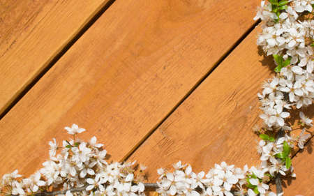 Wooden background framed by a flowering branch with free place for your text