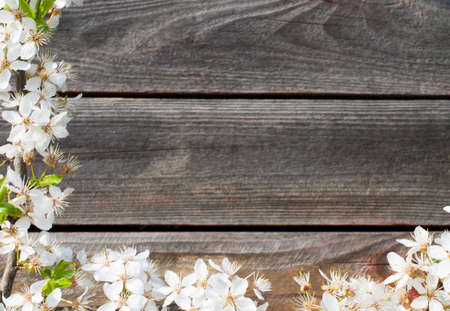 Wooden background framed by a flowering branch with free place for your textの写真素材