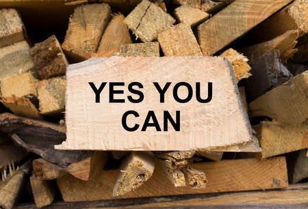 Wall firewood. Background of dry chopped firewood logs in a pile and plate with text Yes You Can. Concept photoの写真素材