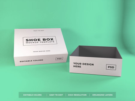 Shoe Box Packaging 3D Illustration Mockup Scene on White Background