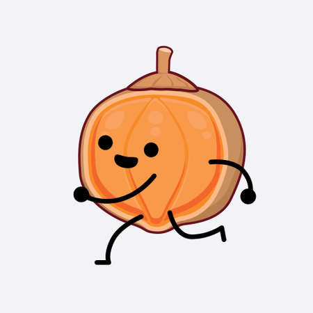 Vector Illustration of Quararibia Cordata Fruit Character with cute face, simple hands and leg line art on Isolated Background. Flat cartoon doodle style.のイラスト素材