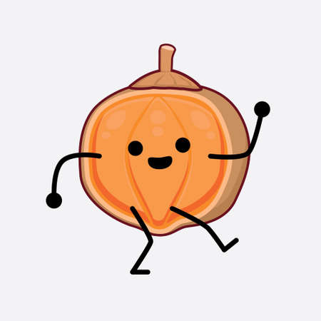 Vector Illustration of Quararibia Cordata Fruit Character with cute face, simple hands and leg line art on Isolated Background. Flat cartoon doodle style.のイラスト素材