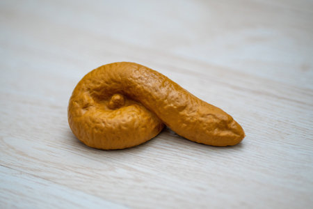 Golden Brown Fake Poop Turd on Wooden Floorの写真素材