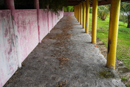 Abandoned building golden pillars in the middle of nature landscapeの写真素材
