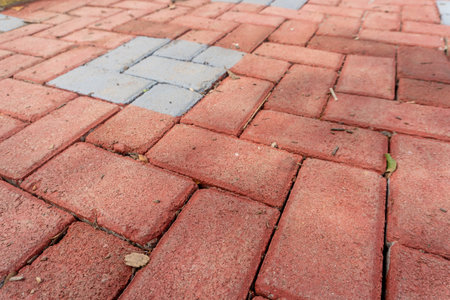 Orange colored paving block bricks path in the park close up