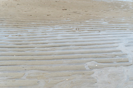 erosion on the seafront of a white sandy beach that is on the ebb in the middle of nature landscapeの写真素材