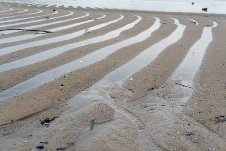 erosion on the seafront of a white sandy beach that is on the ebb in the middle of nature landscape