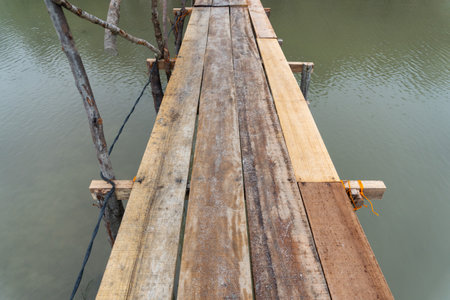wooden bridge in the middle of mangrove beach in nature landscapeの写真素材