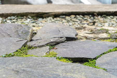 floor of natural stone in the middle of green nature landscape