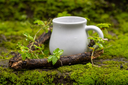White mug, mock up, empty space for artwork, text, standing on stone, outdoors, green grass, trees, sky in the background, soft sunlight, natureの写真素材