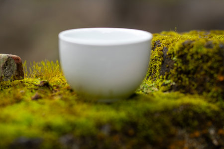 White mug, mock up, empty space for artwork, text, standing on stone, outdoors, green grass, trees, sky in the background, soft sunlight, natureの写真素材