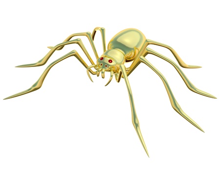  Gold spider on the white backgroundの写真素材