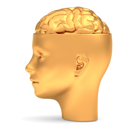 Gold brain in gold head is openedの写真素材