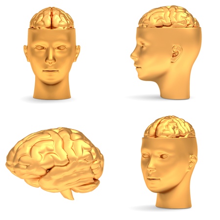 Gold head in three projections and brain, isolated over white.の写真素材