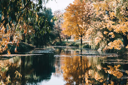 autumn landscape in park with river and blue skyの写真素材