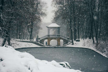 winter landscape with firs nice fantastic nature morning